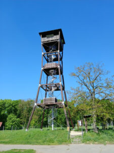 20250428_151727.jpg