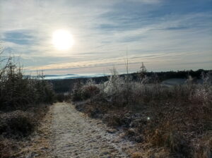 IMG_20251226_094120